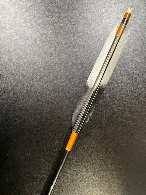 1913シャフト ターキー羽 六つ矢 【特19-8】