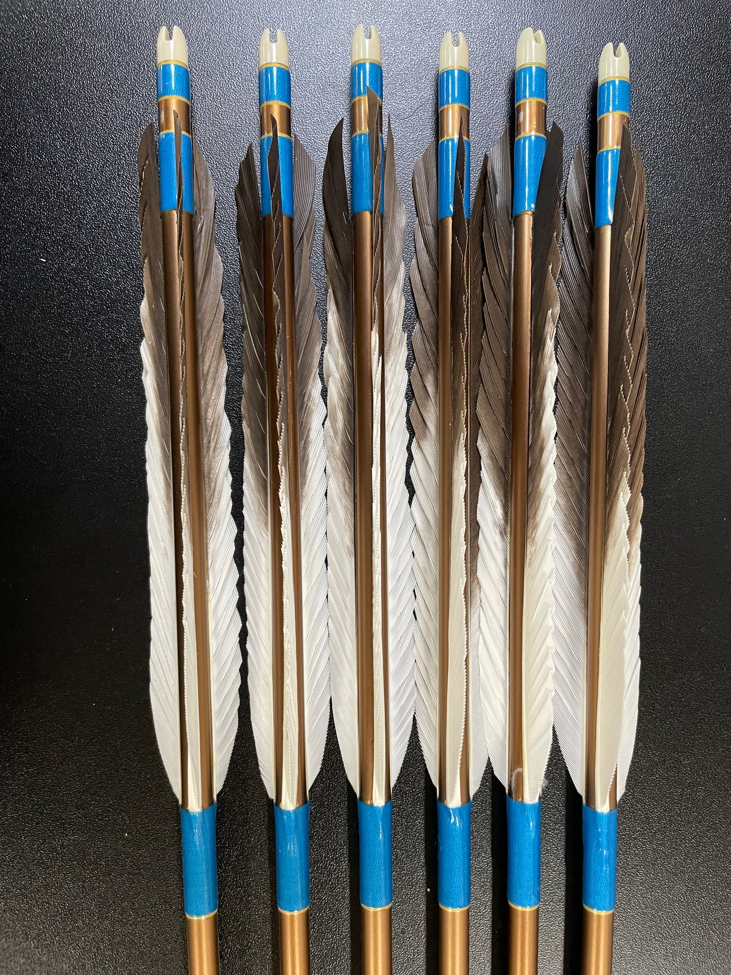 特価品EASTONアルミシャフト1913 犬手羽 六つ矢 【羽長14.5cm】