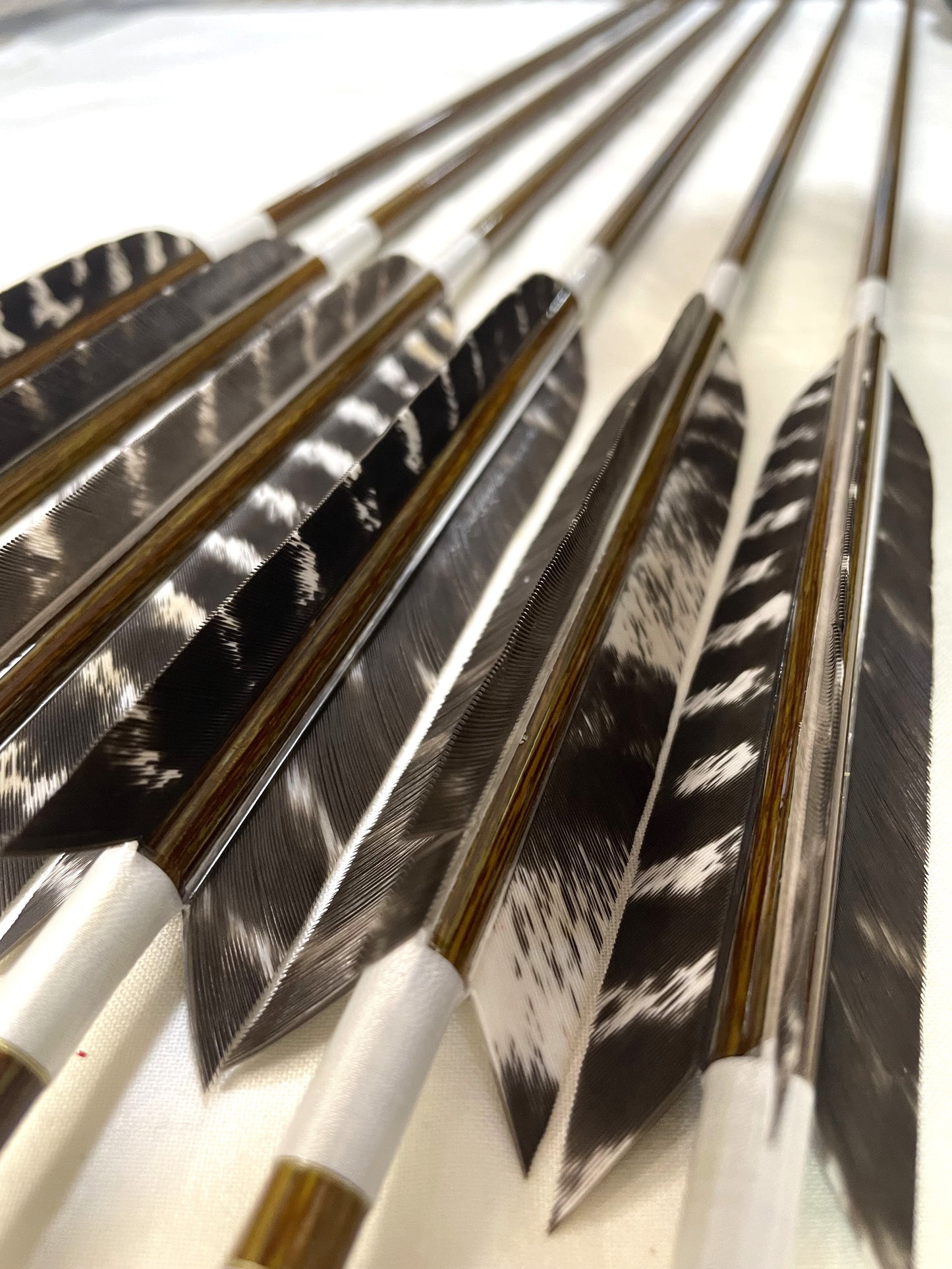 【80-23】EASTON ウッドカーボンシャフト ワイルドターキー六つ矢 天弓筈