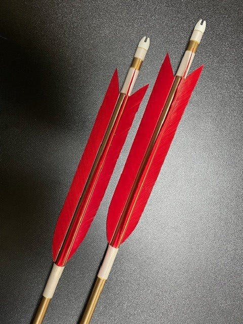 【即納】六つ矢 1913 シャフトターキー 染羽 K19-19