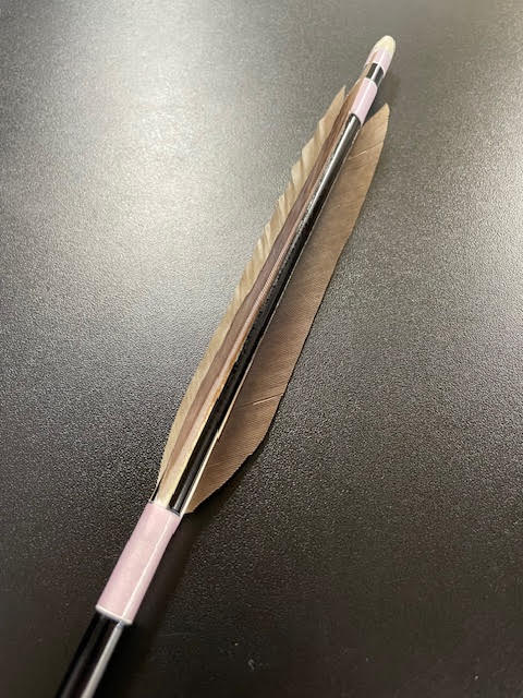 【特価】1913シャフト 磯鷲尾羽(B級) 六つ矢 【1913-K8】