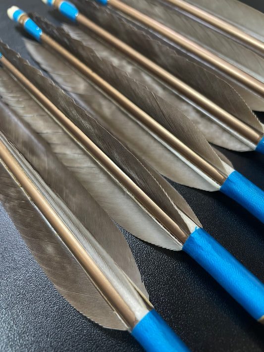 【訳アリ】1913シャフト 犬鷲手羽 遠的向け六つ矢 【羽長12.5ｃｍ】