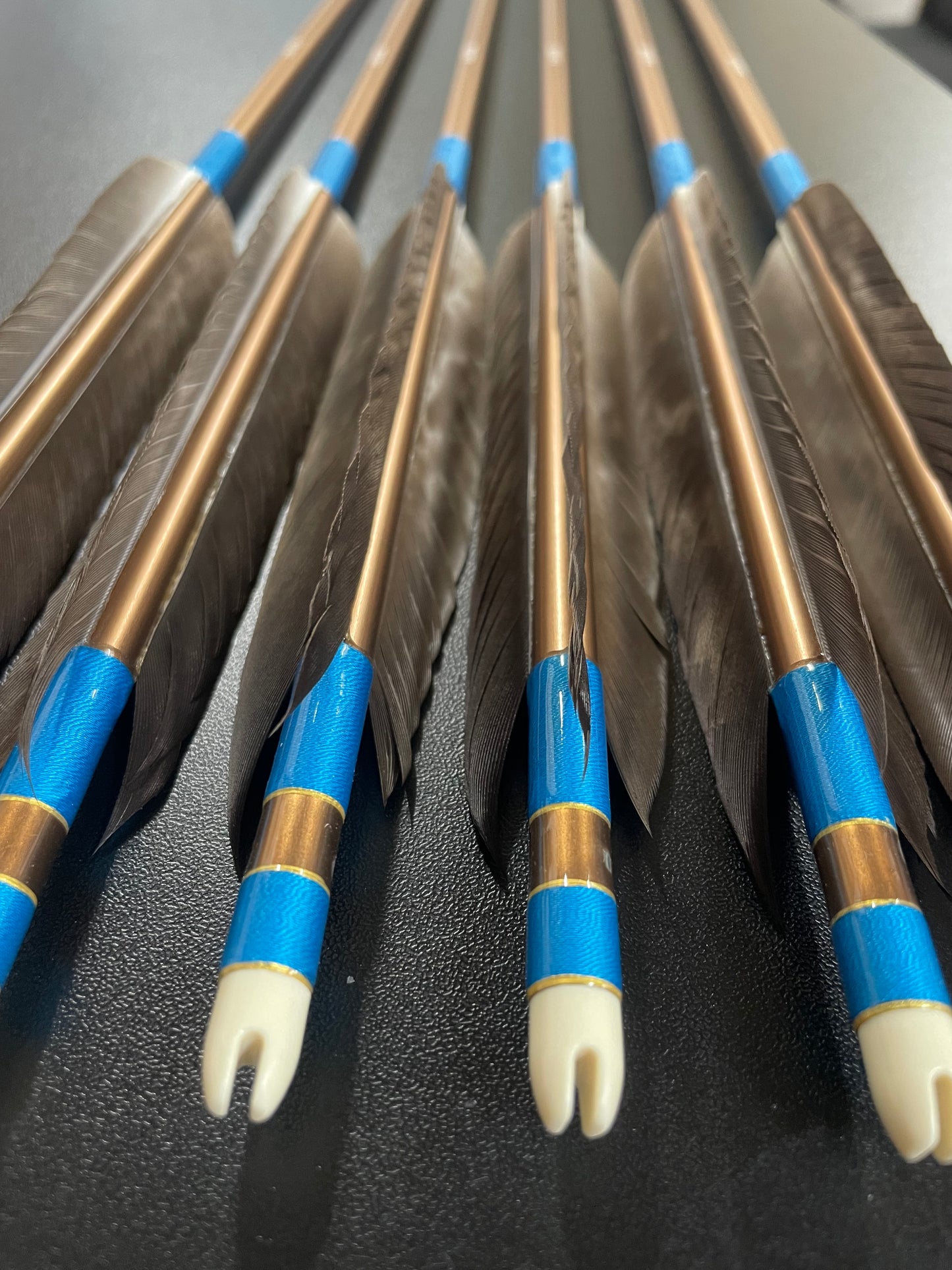 【訳アリ】1913シャフト 犬鷲手羽 遠的向け六つ矢 【羽長12.5ｃｍ】