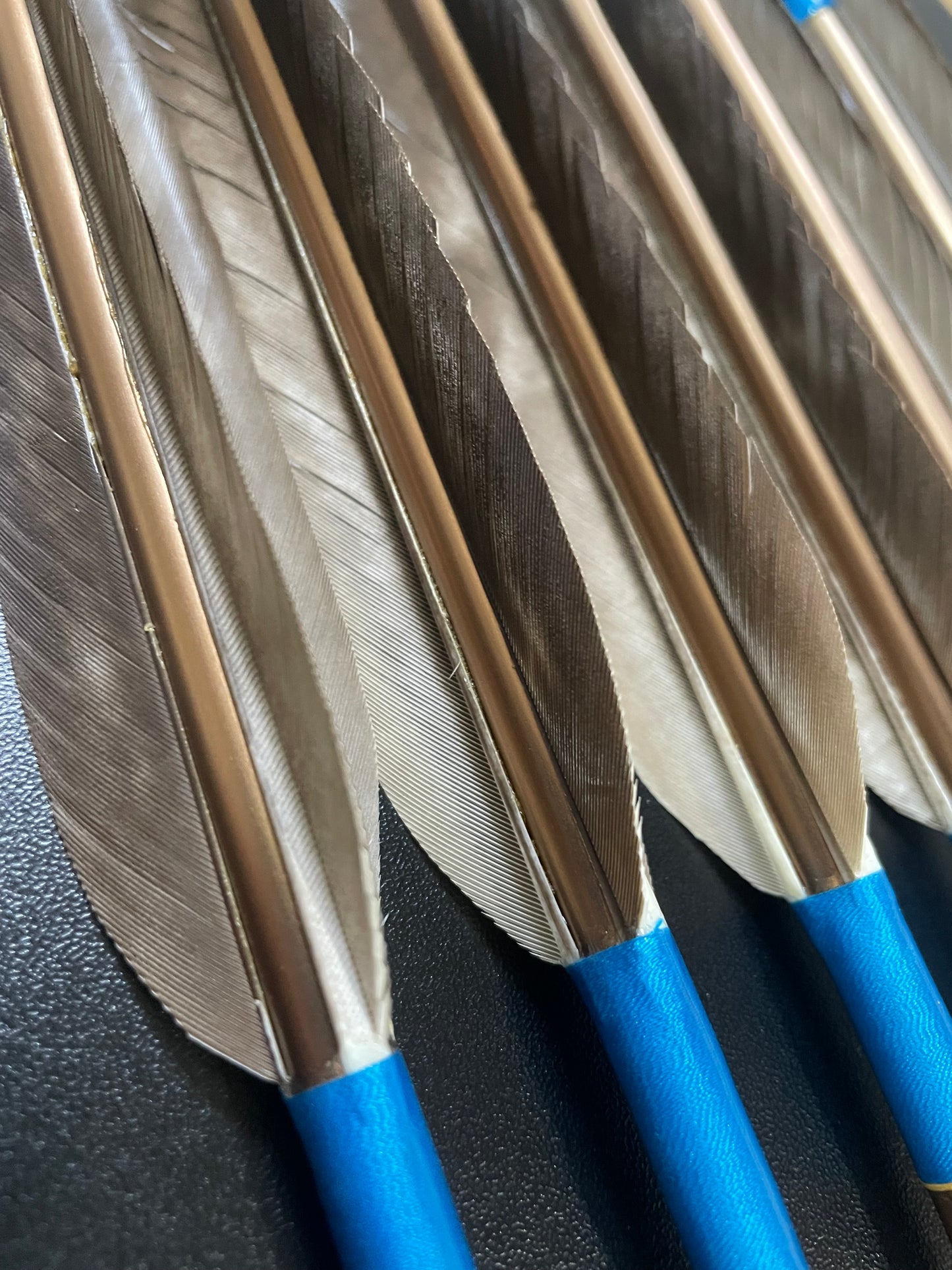 【訳アリ】1913シャフト 犬鷲手羽 遠的向け六つ矢 【羽長12.5ｃｍ】