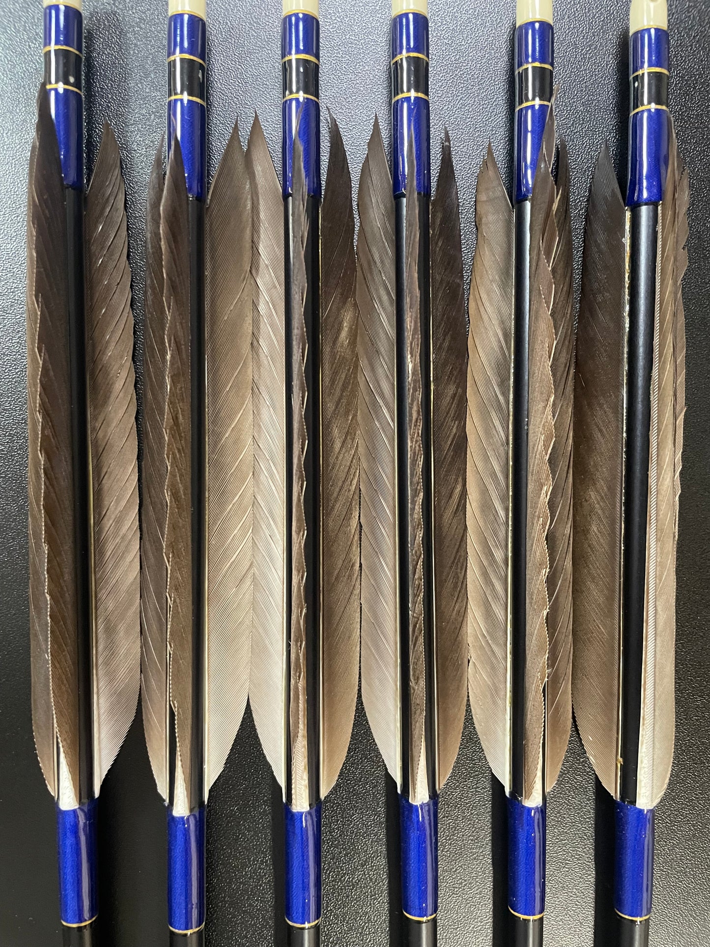 【訳アリ】1913シャフト 犬鷲手羽 遠的向け六つ矢 【羽長12.5ｃｍ】