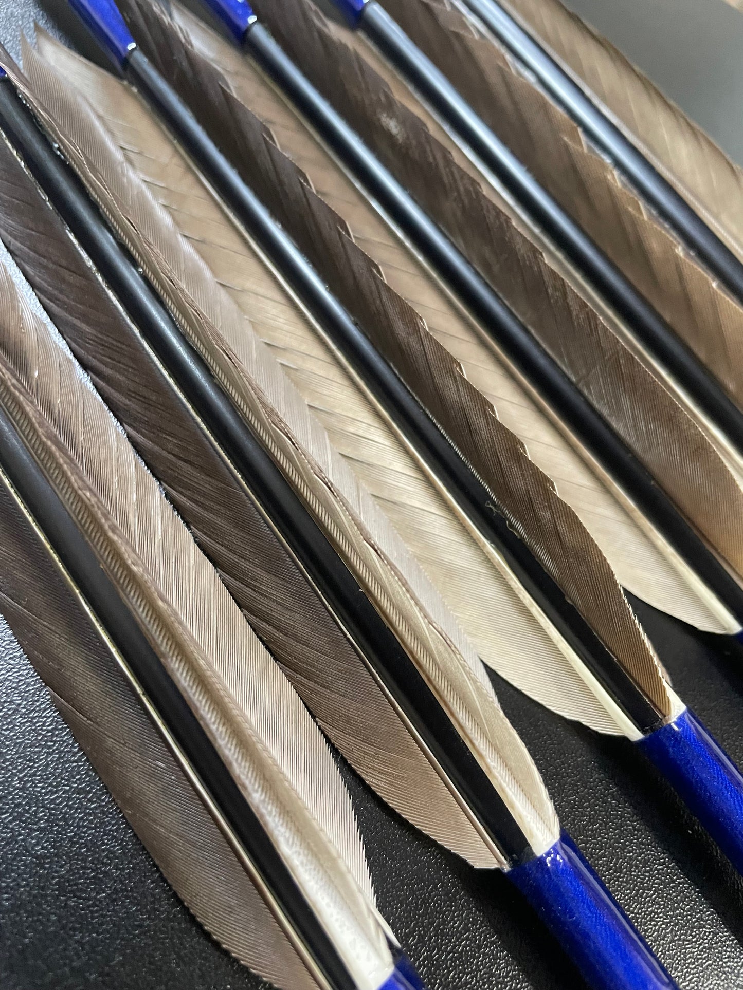 【訳アリ】1913シャフト 犬鷲手羽 遠的向け六つ矢 【羽長12.5ｃｍ】