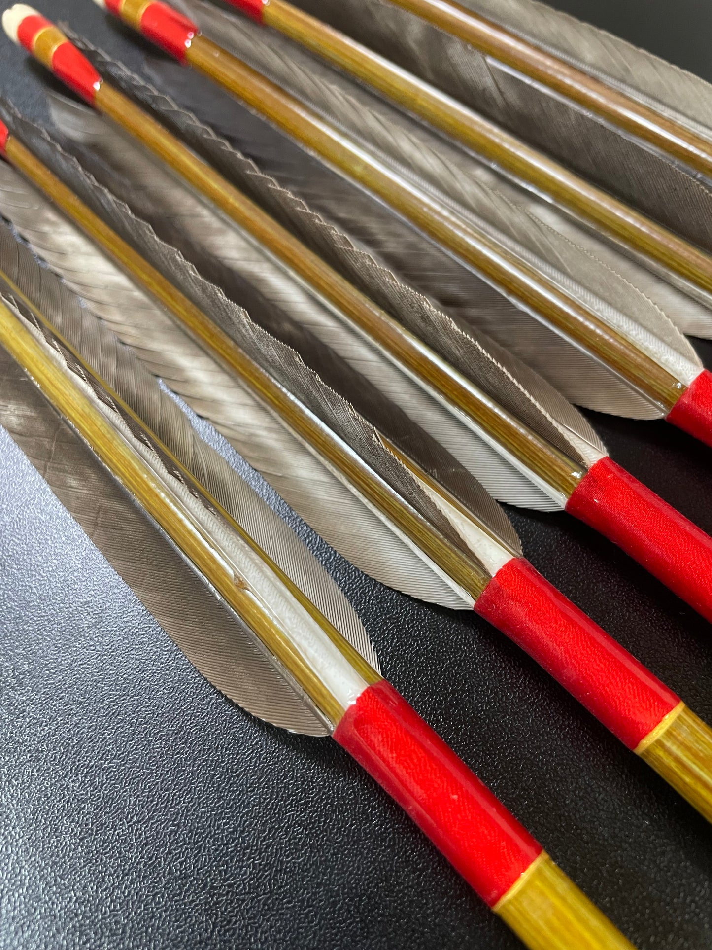 【訳アリ】EASTON8023カーボンシャフト 犬鷲手羽 遠的向け六つ矢 【羽長12.5ｃｍ】