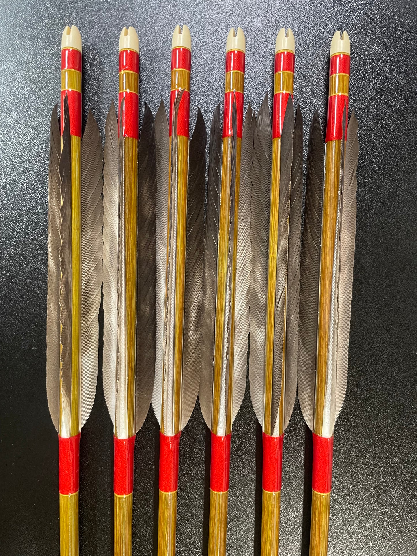 【訳アリ】EASTON8023カーボンシャフト 犬鷲手羽 遠的向け六つ矢 【羽長12.5ｃｍ】