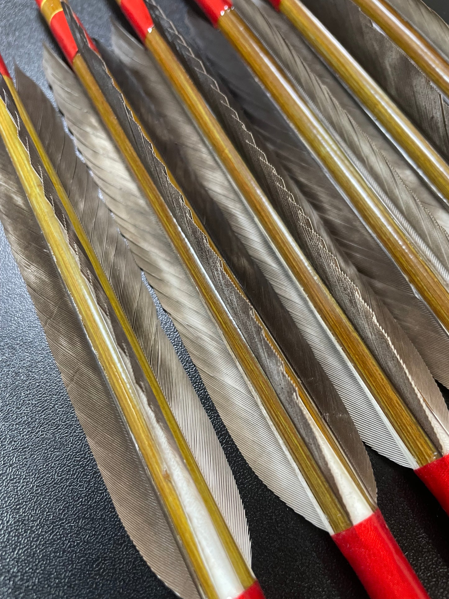 【訳アリ】EASTON8023カーボンシャフト 犬鷲手羽 遠的向け六つ矢 【羽長12.5ｃｍ】