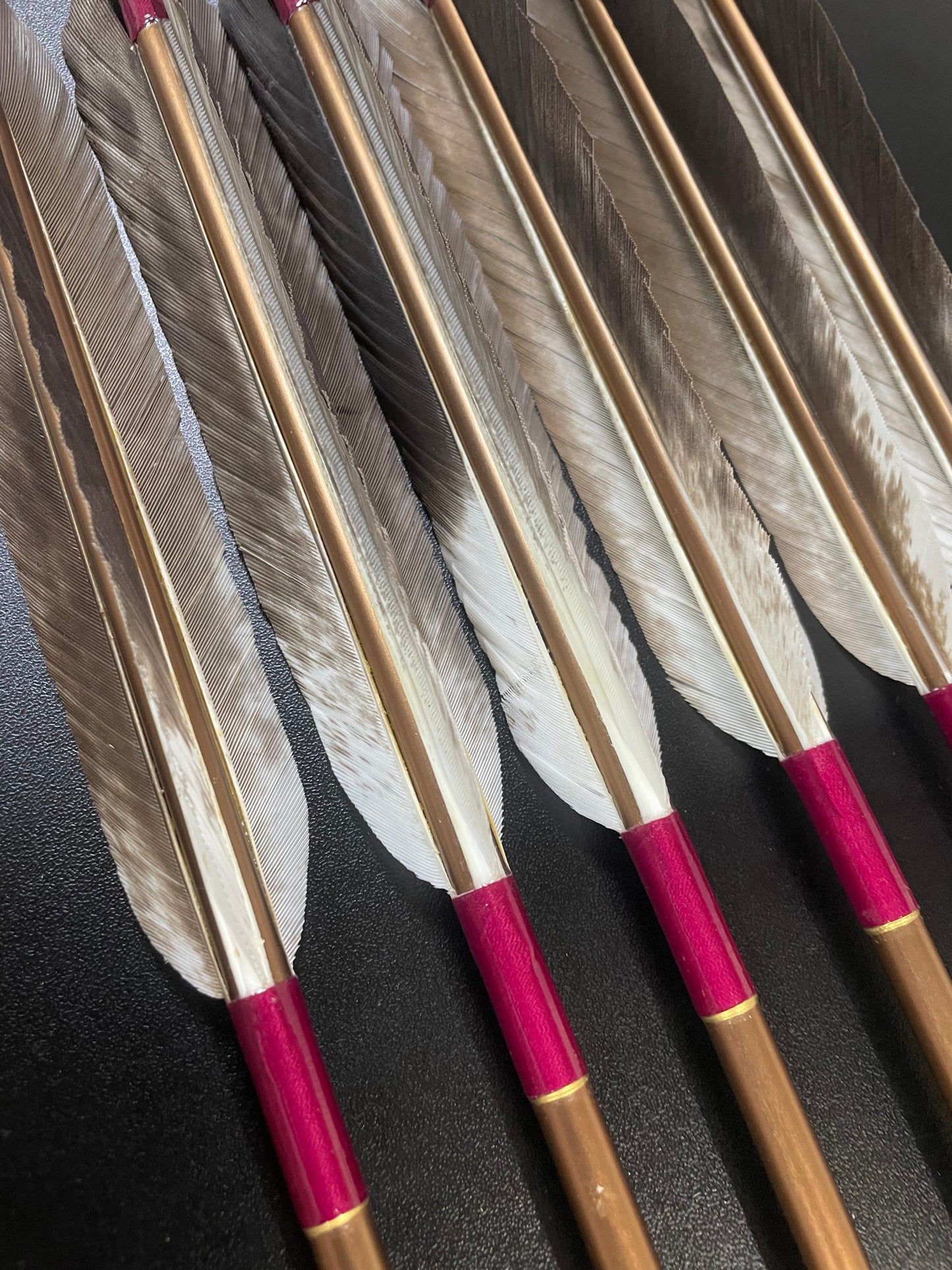 1913アルミシャフト 犬鷲手羽 六つ矢 【羽長14.0ｃｍ】