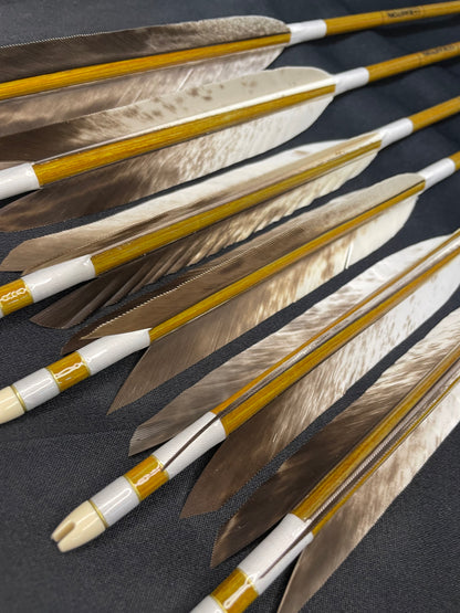 【特価品】EASTON7620カーボン 犬手羽 六つ矢 【羽長14.5ｃｍ】