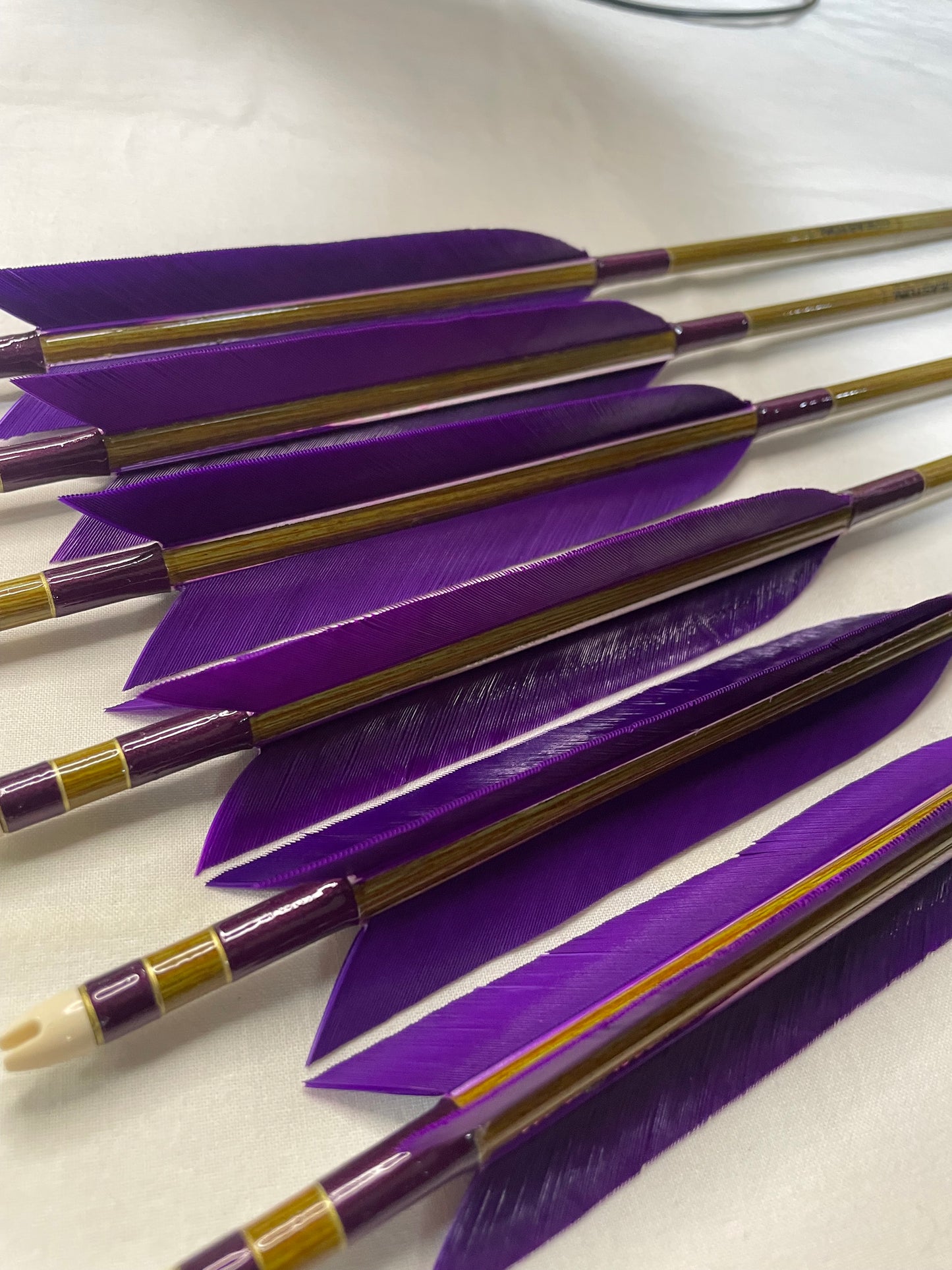 【76-20】EASTON　ウッドカーボンシャフト ターキー染羽六つ矢 　天弓筈
