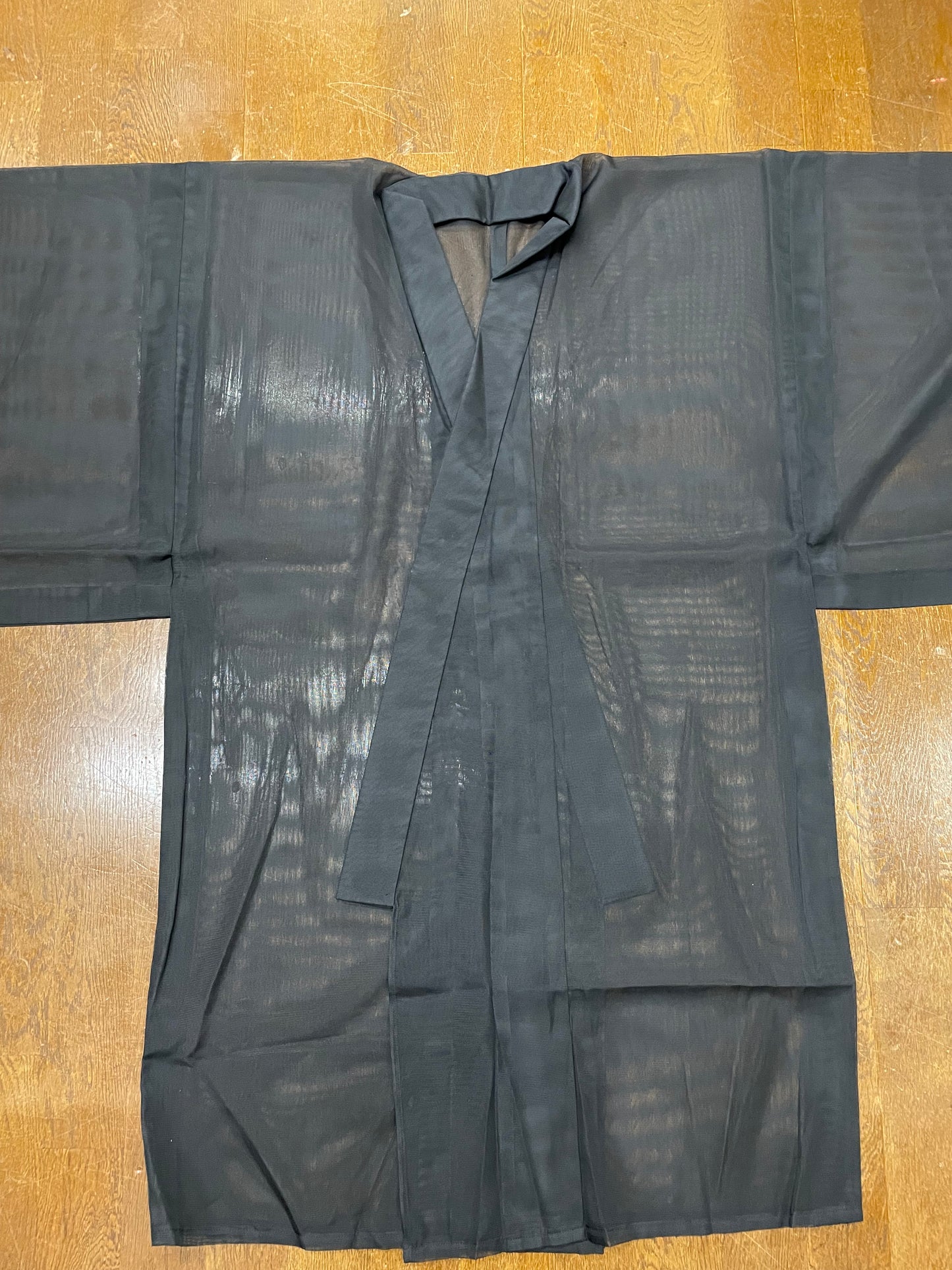 【特価】大サイズ　紗　着物　