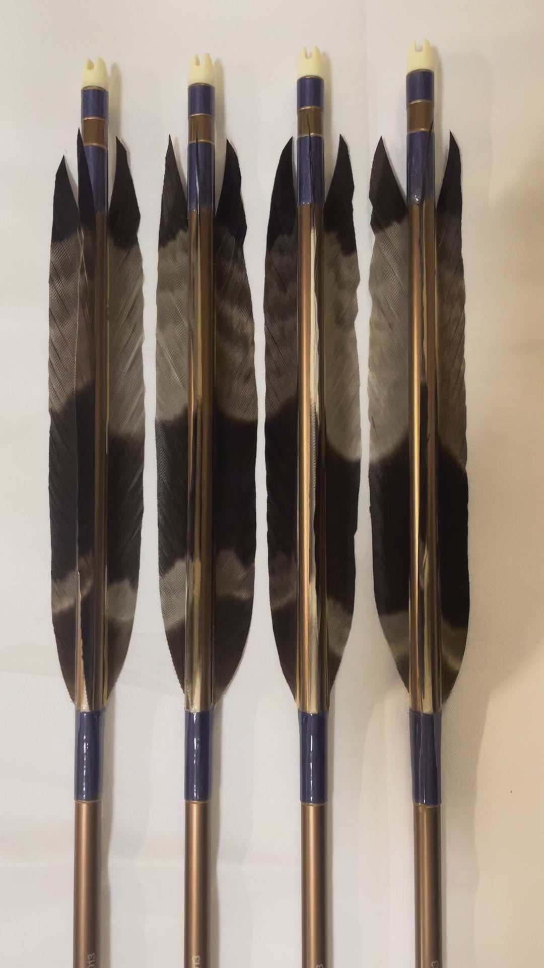 四つ矢】1913アルミシャフト蜂熊尾羽 四つ矢 【羽長14.5cm